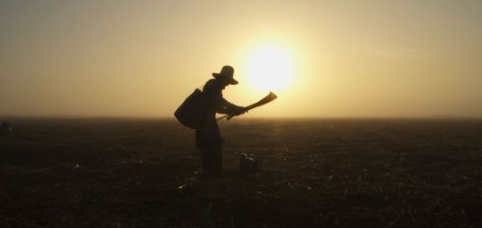 Projeto de ruralista prevê pagamento de trabalhador rural com comida ou casa
